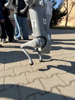 Robot-pies Sferuś